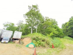 札幌市を専門　テンズホーム あなたならどう使う？緑を感じる場所