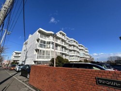 札幌市を専門　テンズホーム 駐車場1台確保済み♪リフォーム完成物件◎こだわりのお洒落な内装♪大容量ウォークインクローゼット付き♪