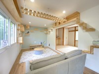 札幌市を専門　テンズホーム 【猫との暮らし、ここに極まる。愛猫のためのフルリノベ戸建て】