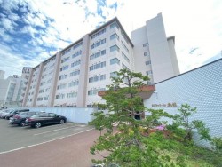 札幌市を専門　テンズホーム 無垢材×造作家具のリノベ1LDK。都市ガス、ペット可・ピアノ相談可。木の香りに包まれる癒し空間。