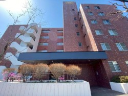 札幌市を専門　テンズホーム 【地下鉄・JR利用可×最上階×ペット飼育可能】2014年全面リフォーム済◎